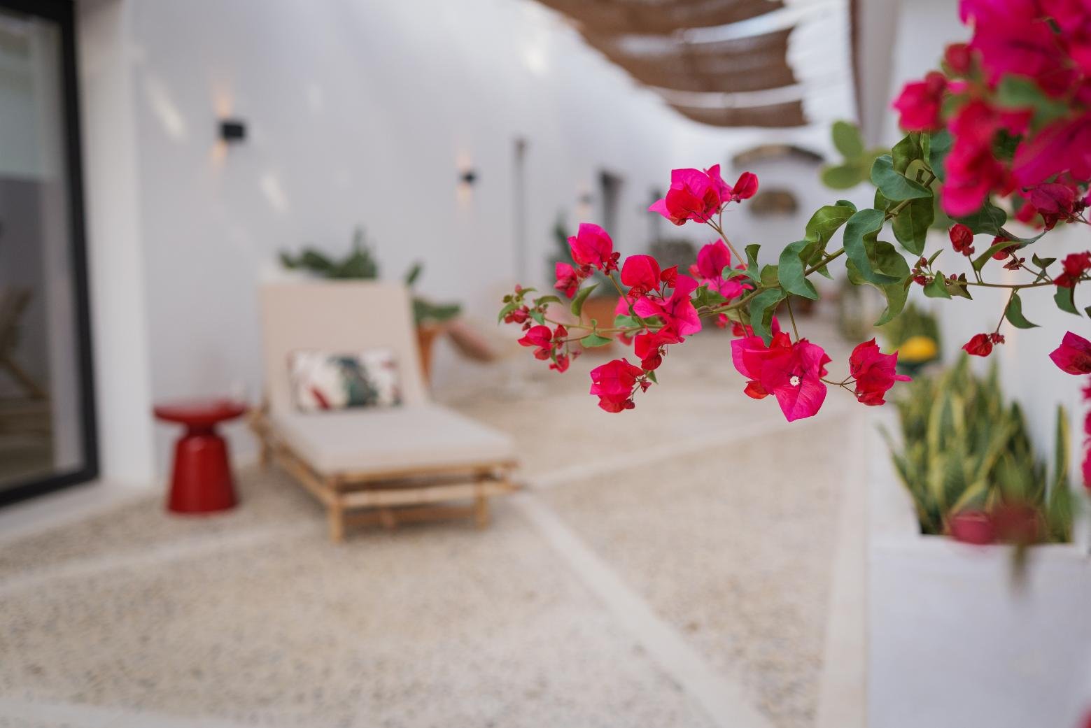 Luz y vegetación en el patio de Casa Chica